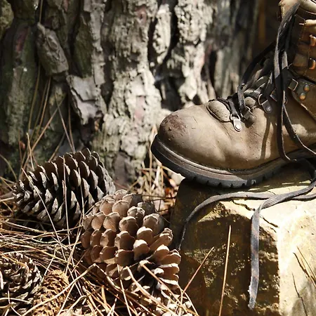 In Gelderland Near Nature Trails Vakantiehuis Mook