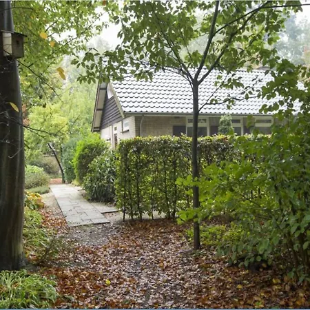 In Gelderland Near Nature Trails Vakantiehuis