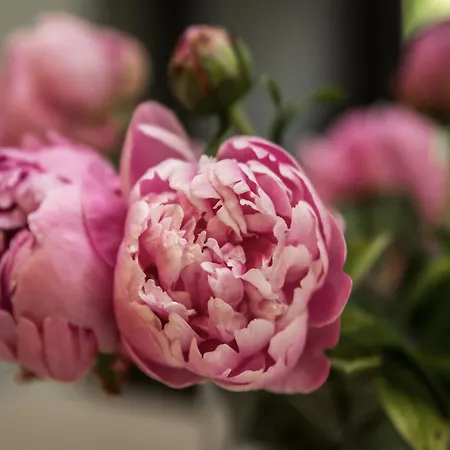 In Gelderland Near Nature Trails Vakantiehuis Mook