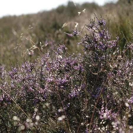 Vakantiehuis In Gelderland Near Nature Trails *