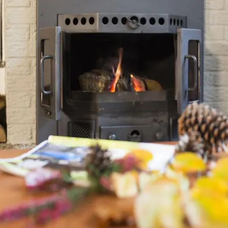 In Gelderland Near Nature Trails Mook