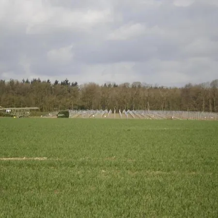 In Gelderland Near Nature Trails * Mook