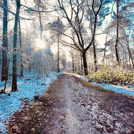 Vakantiehuis In Gelderland Near Nature Trails *