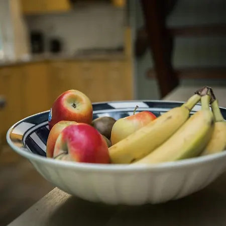 In Gelderland Near Nature Trails