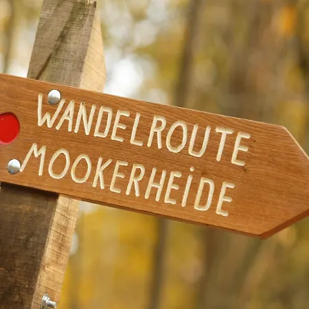 In Gelderland Near Nature Trails Mook