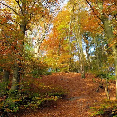 Dom wakacyjny In Gelderland Near Nature Trails