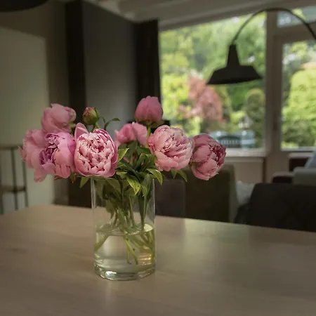 In Gelderland Near Nature Trails *