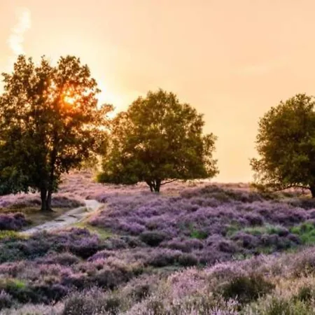 In Gelderland Near Nature Trails Dom wakacyjny *