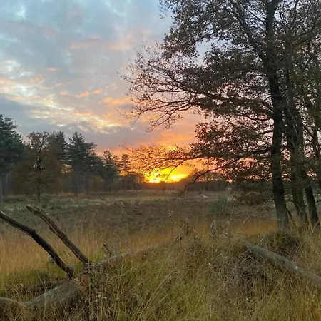 Dom wakacyjny In Gelderland Near Nature Trails
