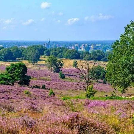 In Gelderland Near Nature Trails Dom wakacyjny Mook