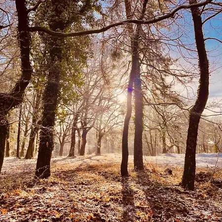 Dom wakacyjny In Gelderland Near Nature Trails Mook